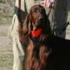 Drew after earning his first leg towards his Junior Hunter